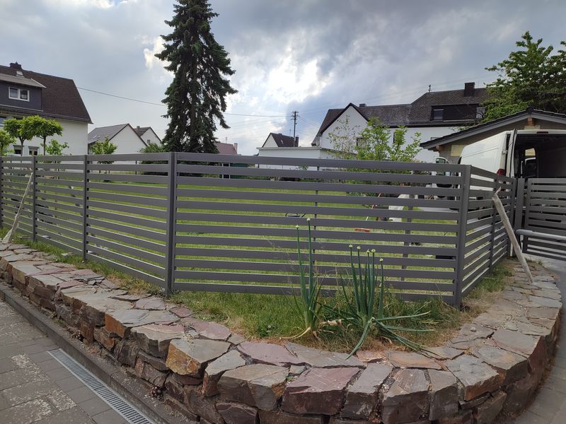 Willorth (2) — kopia_wynik-min